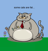
              Kitty Cat Book
            