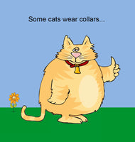 
              Kitty Cat Book
            
